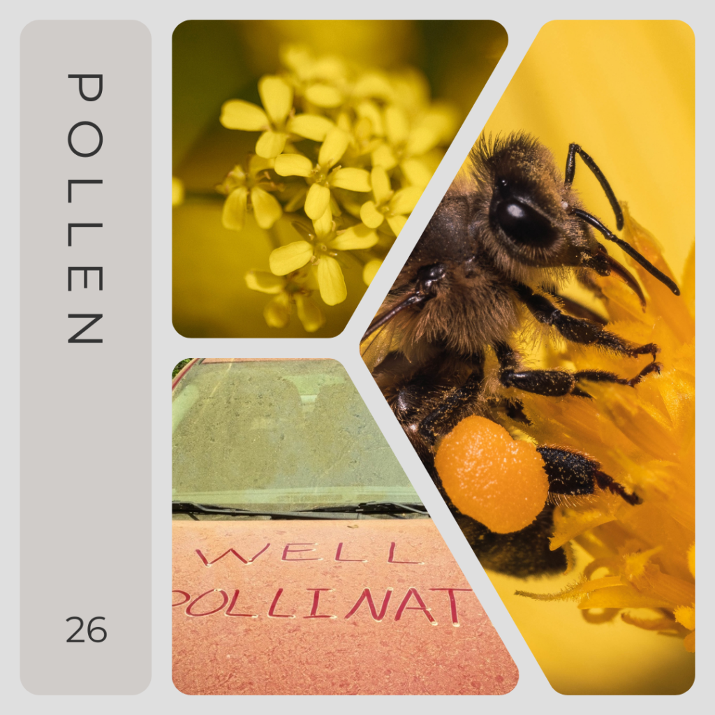 Flowers with pollen and bees