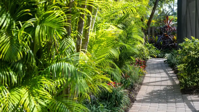Tropical Florida landscape with palms, lush foliage, and flowering plants designed for Jacksonville Zone 9 gardens.