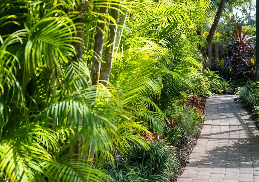 Tropical Florida landscape with palms, lush foliage, and flowering plants designed for Jacksonville Zone 9 gardens.